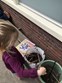 IMG-20180410-WA0017