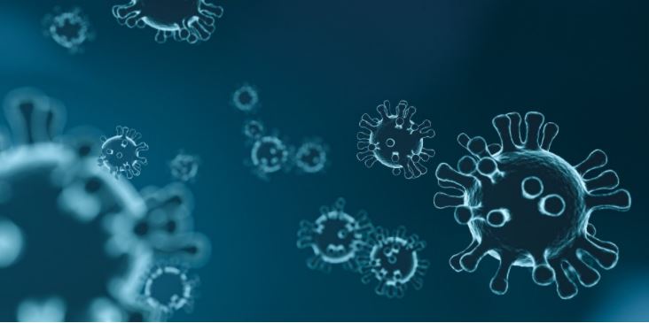 Beslisboom Corona op deze website.